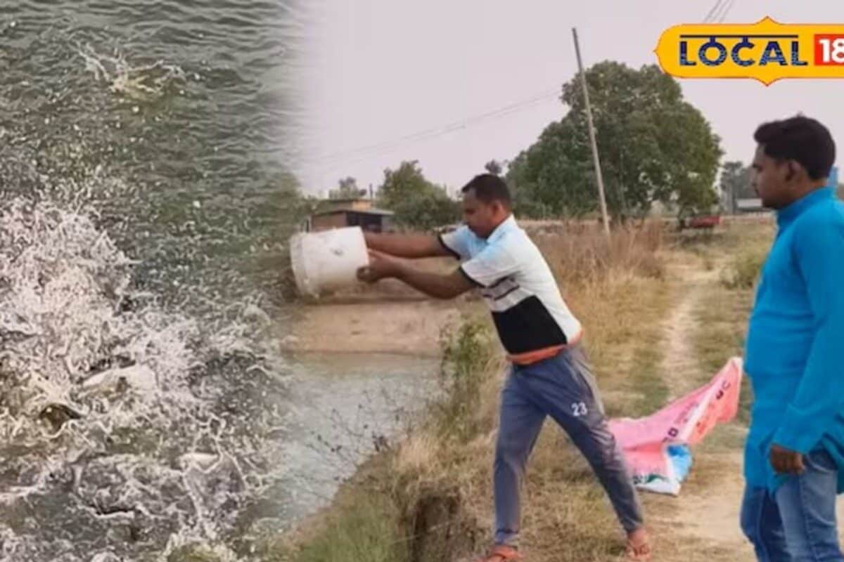 Video: सऊदी में 40 लाख का पैकेज छोड़ लौटे! बिहार को बनाया आंध्रा-बंगाल, टर्नओवर करोड़ों में