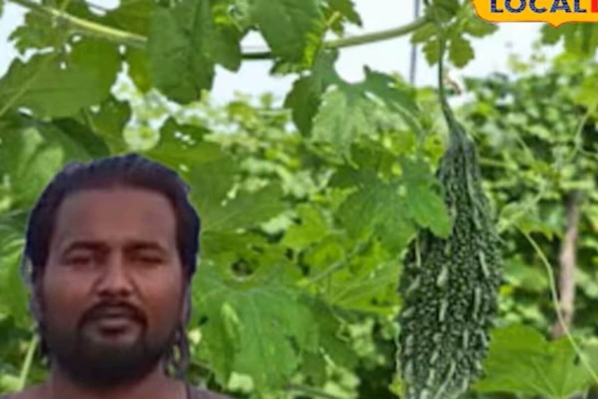 Success Story: 60000 की सैलरी पर भारी पड़ा 10 बीघे का करेला! नेपाल से यूपी तक मची इस बिहारी युवा की धूम