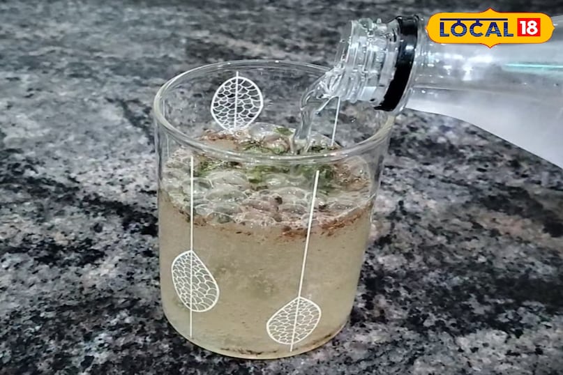 Summer Drink 