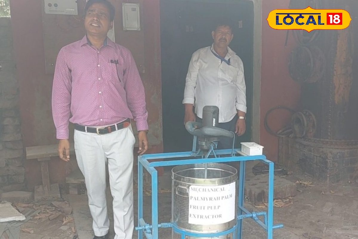 Agri Tips: 50 किलो ताड़ मात्र 10 मिनट में! ताड़ का गुदा निकालना हुआ आसान, BAU के वैज्ञानिकों ने तैयार की मशीन