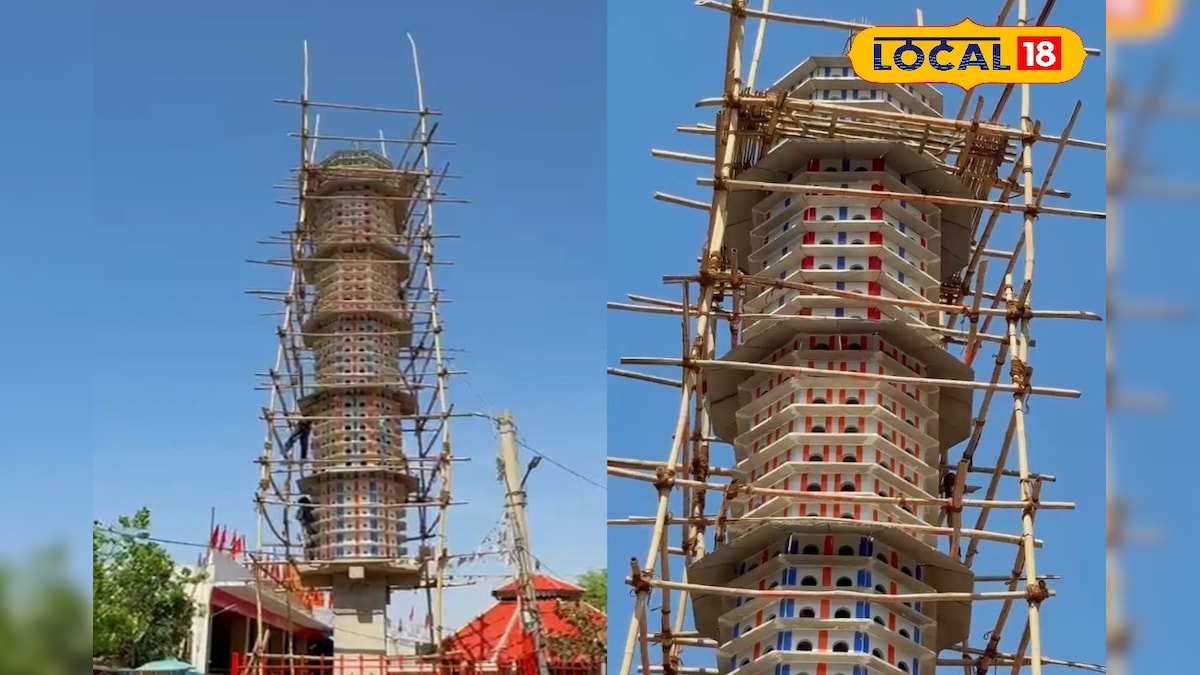 सीकर में पक्षियों के लिए ‘मिनी सिटी’! 3000 से ज्यादा पक्षियों के लिए बन रही अनोखी हाउसिंग सोसायटी