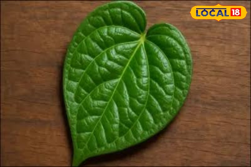 पान का पत्ता 