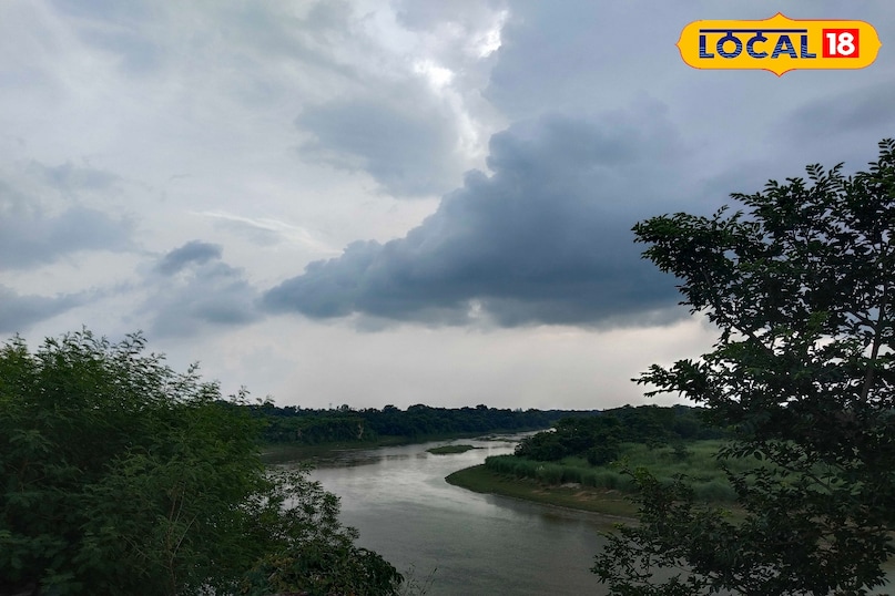 Shahpur jangal 