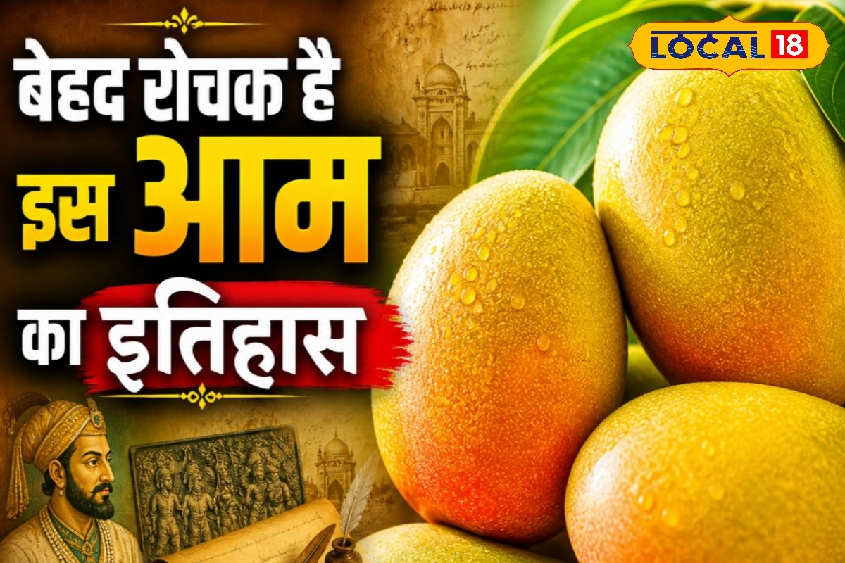 अंगूर नहीं नूरजहां आम से जहांगीर के लिए तैयार करती थी वाइन, मुगल बादशाह और हैदराबाद के नवाबों से जुड़ा है इतिहास