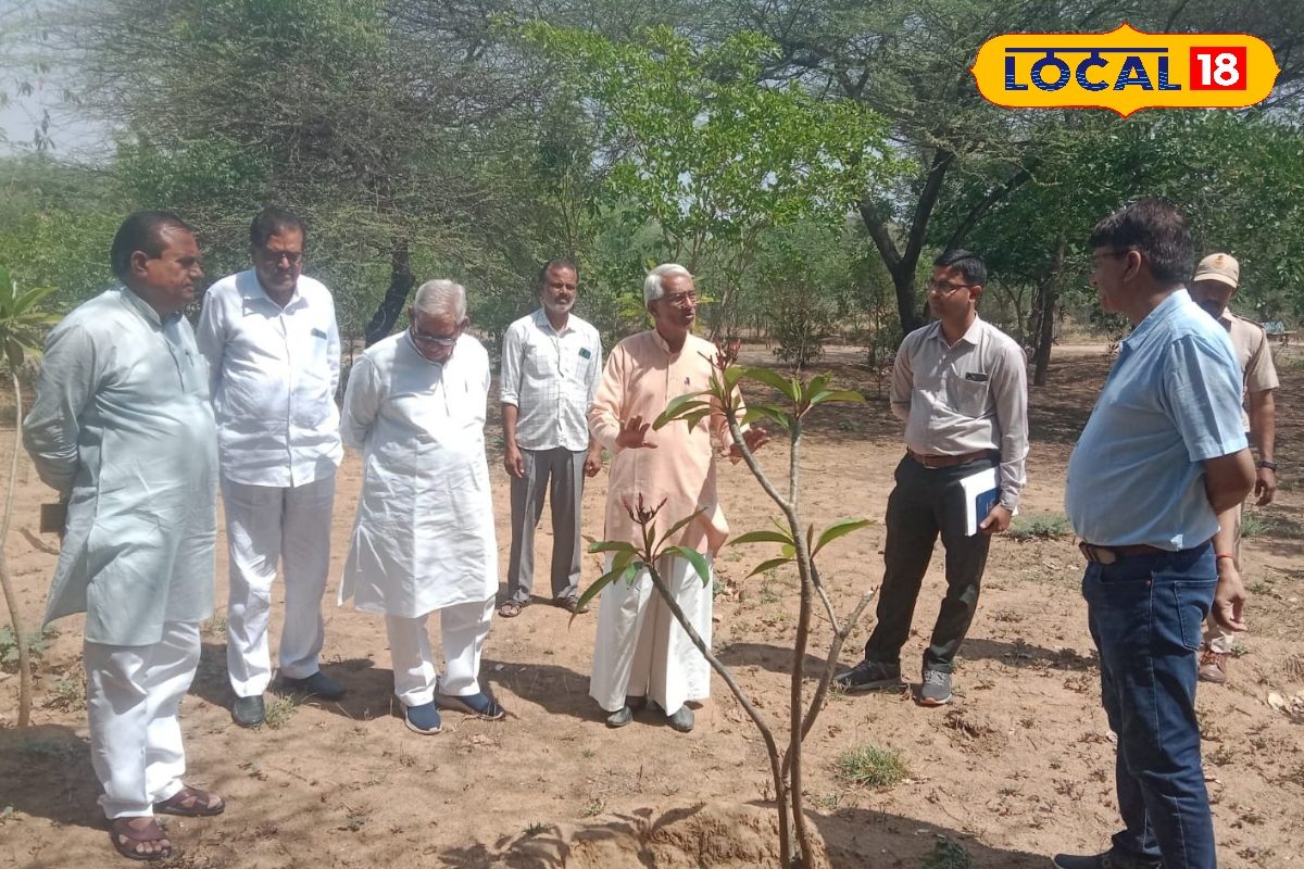 सीकर में कमाल! सिर्फ 1 लीटर पानी से उगेंगे पेड़, स्मृति वन में अपनाई जाएगी पद्मश्री सुंडाराम की अनोखी तकनीक