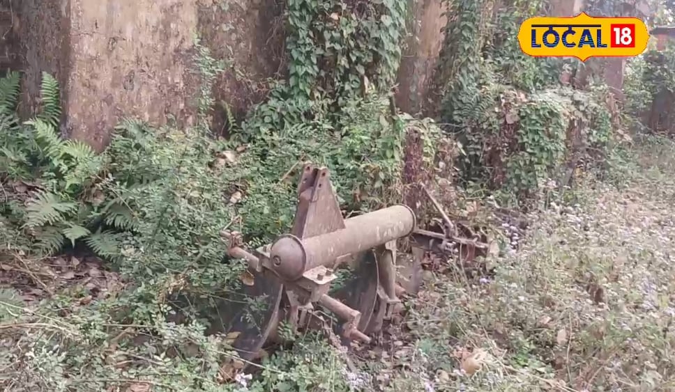 निचलौल के बसूली फार्म में पुराने कृषि यंत्रों का अनोखा संग्रह, छोटा संग्रहालय खेती के इतिहास और आधुनिक बदलाव को जोड़ रहा, जाने