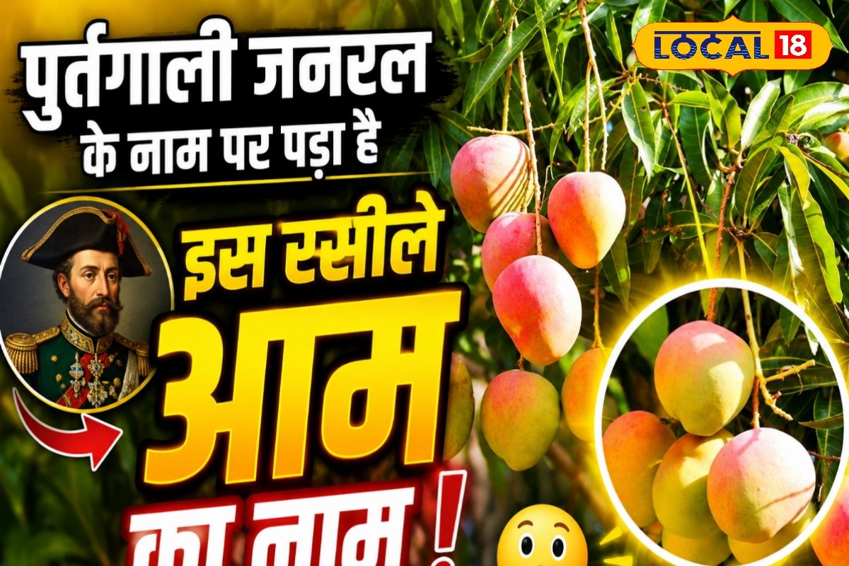 ‘आमों का राजा’ अल्फांसो का दिलचस्प इतिहास, जानिए कैसे पुर्तगाली जनरल के नाम पर पड़ा इसका नाम