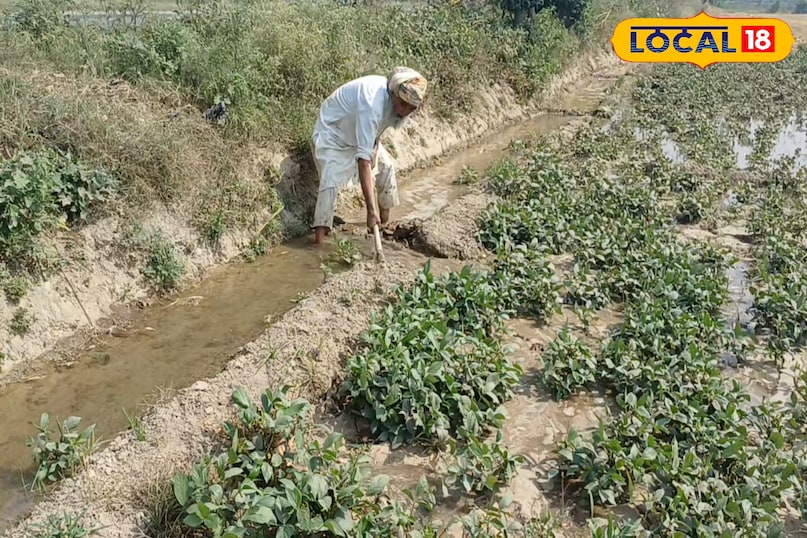 उत्पादन