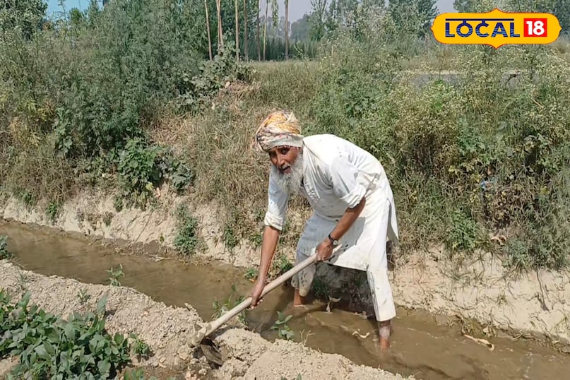 मुनाफा
