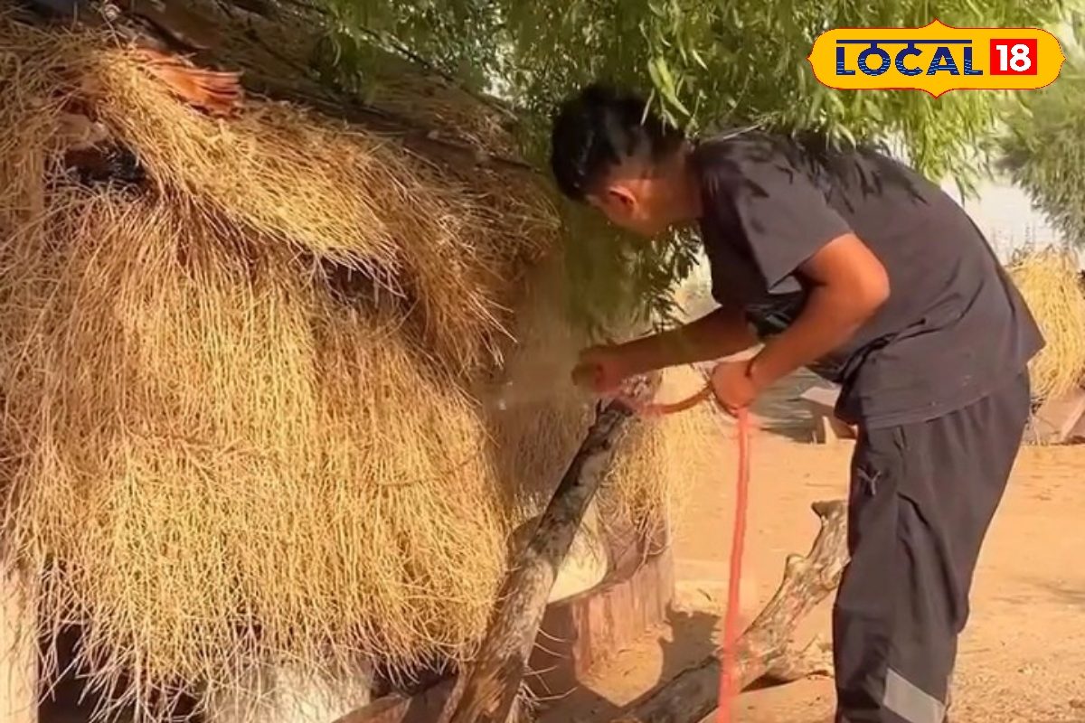 बिना बिजली, बिना AC... फिर भी बर्फ जैसी ठंडी हवा! राजस्थान की ये झोपड़ी बनी गर्मी से राहत का देसी जुगाड़