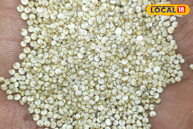 सेहत का खजाना किनोवा प्रोटीन,फाइबर और न्यूट्रिशन से भरपूर सुपरफूड...
