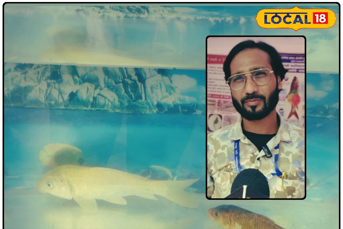 Color Fish Business Ideas: न खेत चाहिए न खलिहान, बस एक छोटा सा हौज और बरसेगा धन! कमाल है ये बिजनेस आइडिया