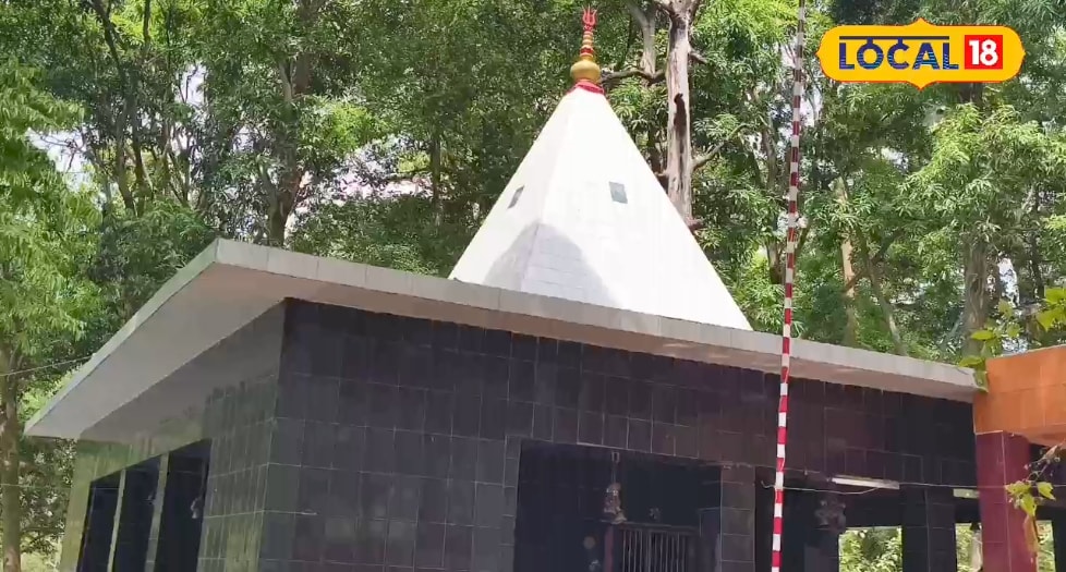 लखीमपुर खीरी का रहस्यमयी काली माता मंदिर, जहां जंगल में गूंजती है आस्था की घंटियां और दर्शन के लिए आते हैं बाघ!
