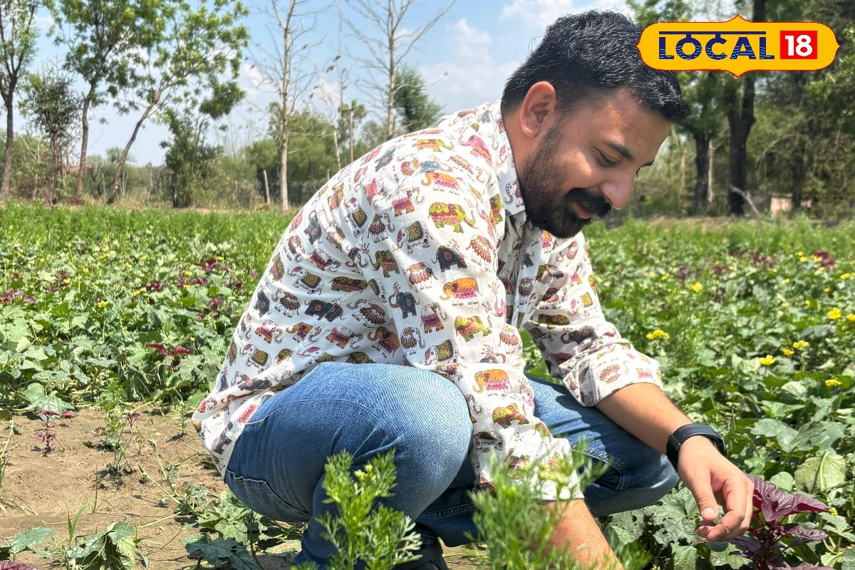 वकालत छोड़ किसान बना ये शख्स, खेतों में उगाता है अनाज और सब्जियां, हर साल कमा रहा हैं 15 लाख रुपए