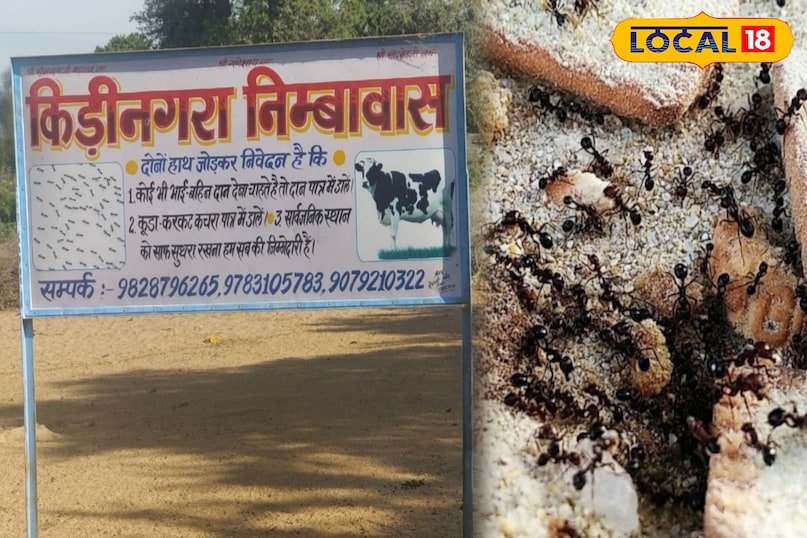 जालोर की खास दुनिया: जहाँ चमत्कार, इतिहास और परंपराएं साथ-साथ बसती हैं...