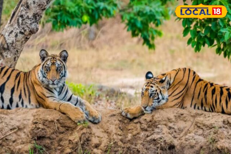 Rajaji National Park