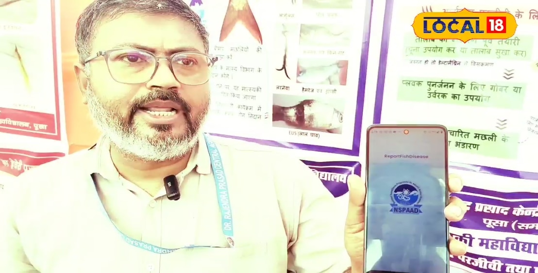 Fish NSPAD App: वरदान है ये ऐप! बीमार मछलियां खुद बताएंगी अपना हाल, पूसा यूनिवर्सिटी ने खोजा डिजिटल इलाज