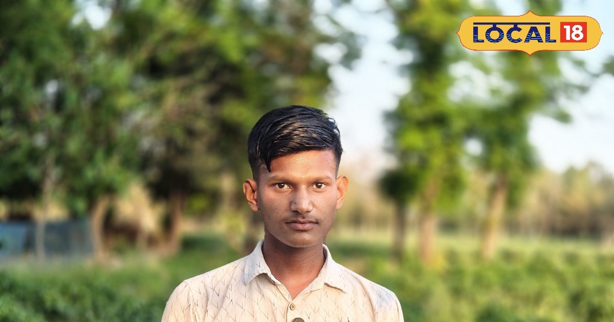 पढ़ाई के साथ खेती…जानिए गोंडा के इस युवा किसान की ट्रिक, मिर्च की रॉयल बुलेट वैरायटी ने बदली किस्मत