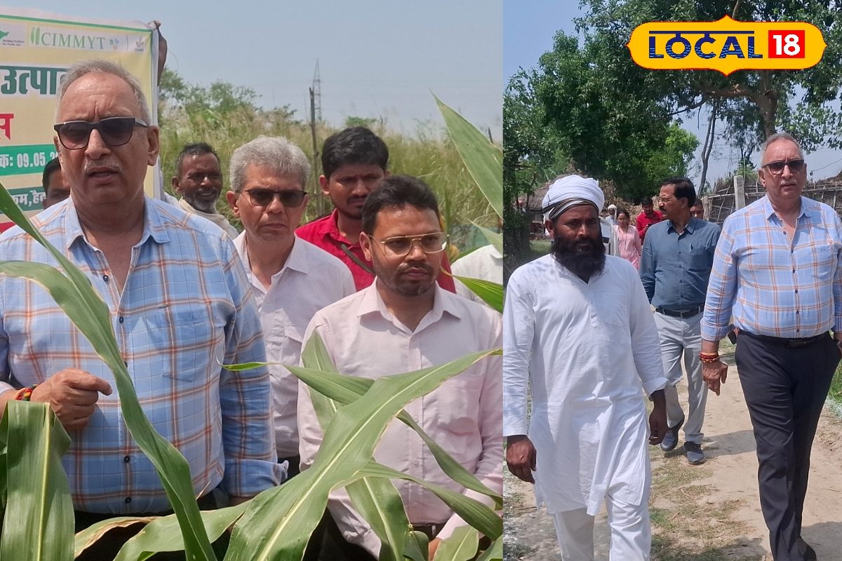 बहराइच के मक्का किसानों को तोहफा! अब खुद उगाएंगे संकर बीज, FPO देगा 5 गुना दाम; पोल्ट्री फीड मशीन की भी तैयारी