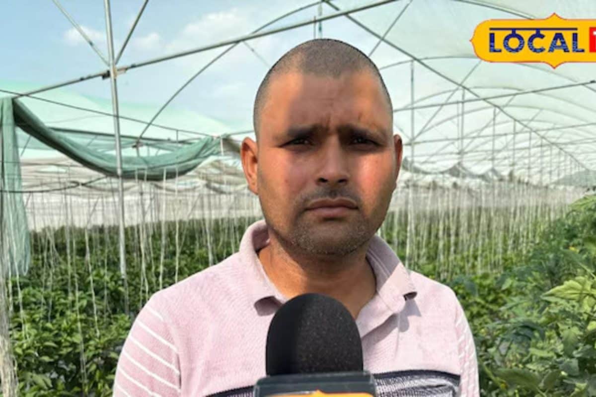 Success Story: सरकारी नौकरी छोड़ी, गांव में शुरू की आधुनिक खेती, अब लाखों की कमाई कर रहे हैं विपिन