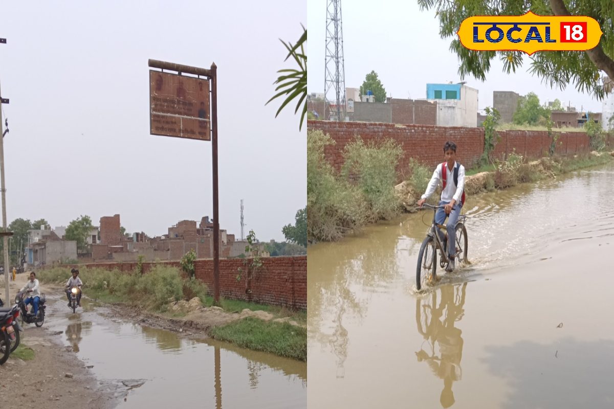 Ground Report: मेरठ के वार्ड न.33 का मेजर ध्यान चंद मार्ग बना तालाब, घुटने भर पानी से जाने को मजबूर स्थानीय
