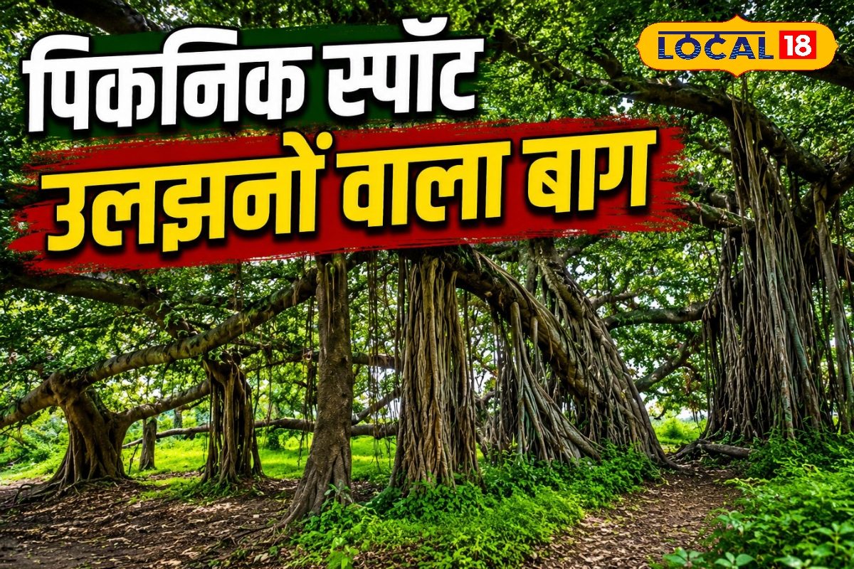 Picnic Spot: सहारनपुर का उलझनों वाला बाग, जहां हर पेड़ एक-दूसरे से हैं जुड़े, यहां फिल्म राजा हिंदुस्तानी भी हुई है शूटिंग