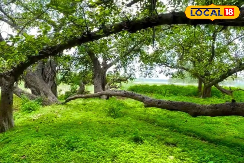 NEWS18