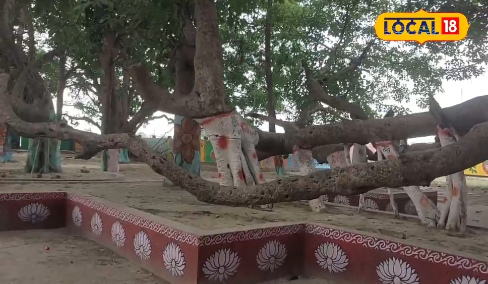 सत्य की खोज के दौरान सोनाड़ी खास पहुंचे थे गौतम बुद्ध, ननिहाल के पास आज भी मौजूद है ऐतिहासिक स्थल