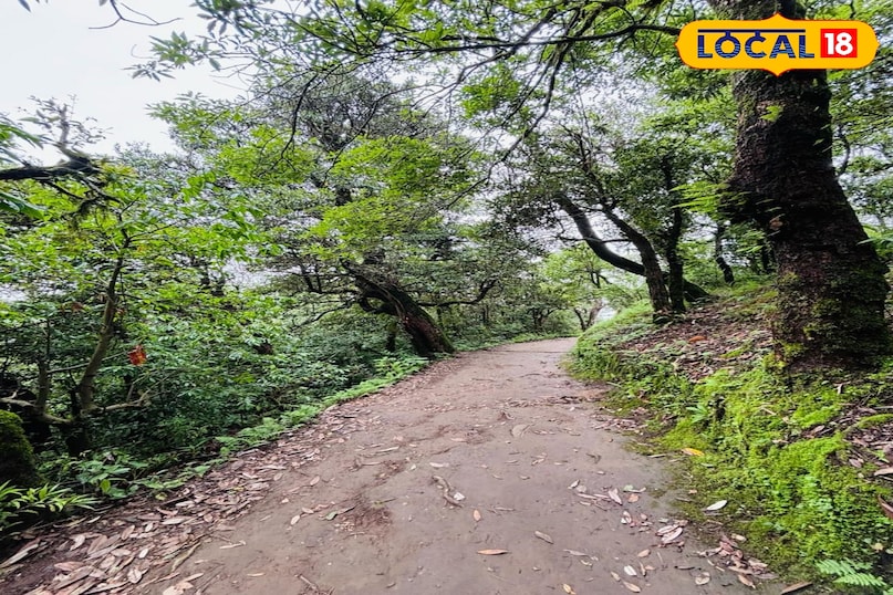 कार्तिक स्वामी मंदिर धार्मिक दृष्टि से भी बेहद महत्वपूर्ण माना जाता है. मान्यता है कि यह मंदिर भगवान शिव के पुत्र कार्तिकेय को समर्पित है. यहां दूर-दूर से श्रद्धालु दर्शन के लिए पहुंचते हैं. मंदिर पहाड़ी की चोटी पर स्थित होने के कारण इसका धार्मिक महत्व और बढ़ जाता है. स्थानीय लोगों के अनुसार यहां पूजा करने से मनोकामनाएं पूरी होती हैं. त्योहारों और विशेष अवसरों पर यहां श्रद्धालुओं की भारी भीड़ देखने को मिलती है. मंदिर परिसर से दिखने वाले हिमालयी दृश्य श्रद्धा और प्रकृति का अनोखा संगम प्रस्तुत करते हैं. यही कारण है कि यह स्थान ट्रेकिंग के साथ-साथ धार्मिक पर्यटन का भी प्रमुख केंद्र बन चुका है.