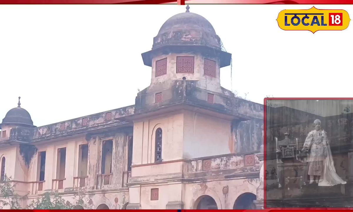 रामपुर के कोठी खास बाग में 300 एकड़ में फैला है नवाबी आम का बाग, इटली वालों को खूब भाता है स्वाद