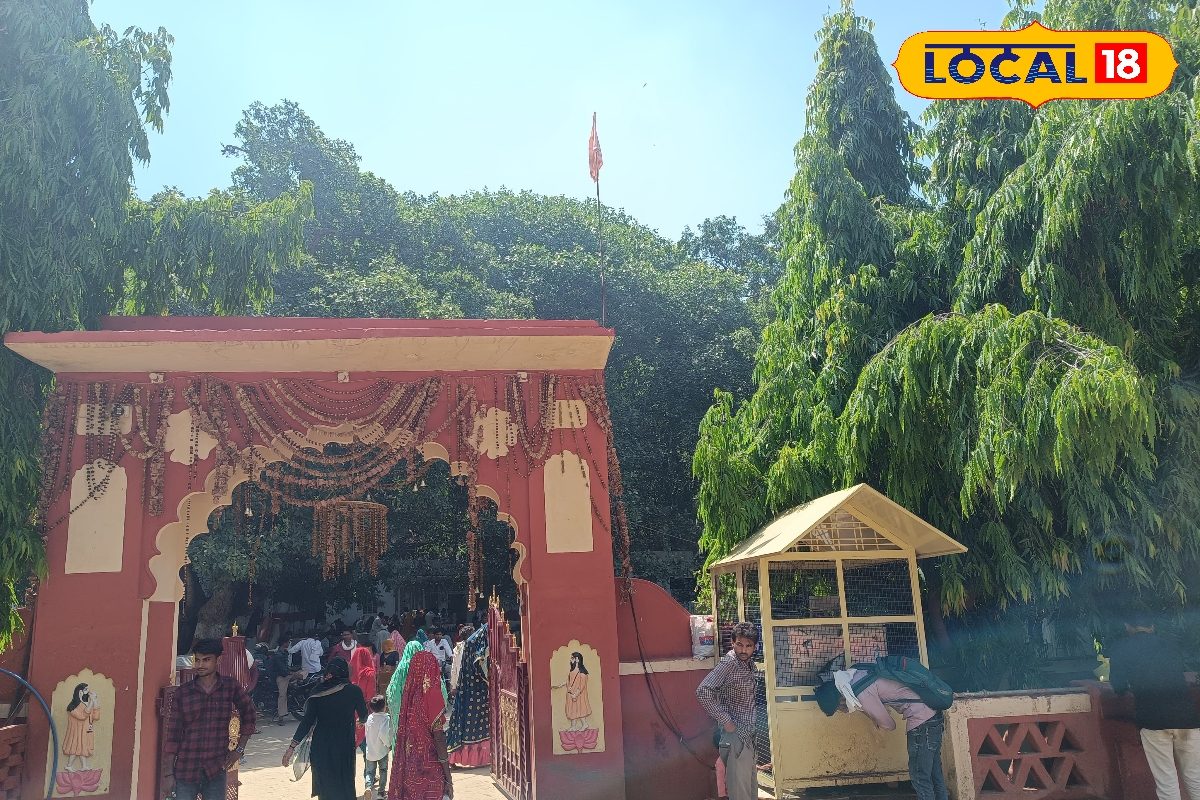 Udaynath Dham Alwar: श्री उदयनाथ धाम बना श्रद्धा और पर्यावरण संरक्षण का अनोखा संगम, श्रद्धालुओं की उमड़ी भीड़