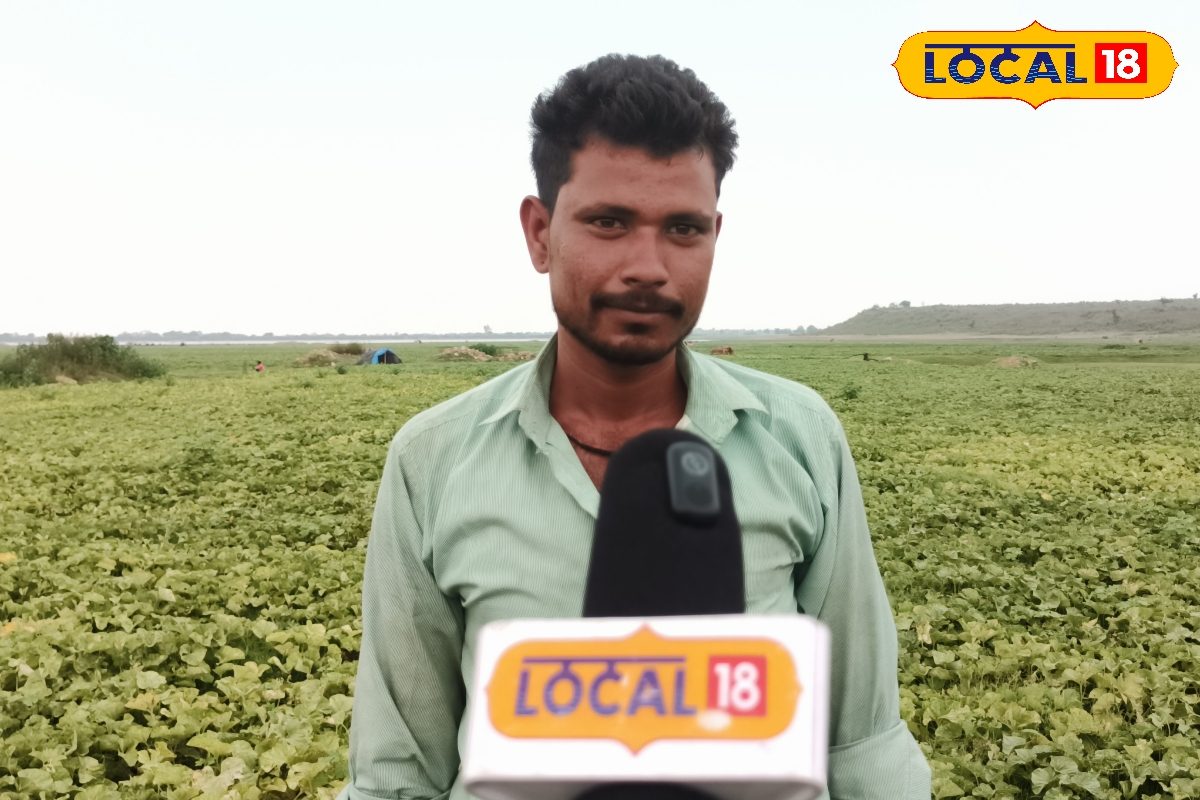 सोने से भी ज्यादा रिटर्न देगा इस फल की खेती, 90 दिन में मिलेगा 400% मुनाफा, किसान से जानें नाम और  तरीका
