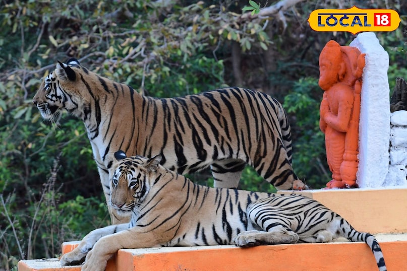 news 18 