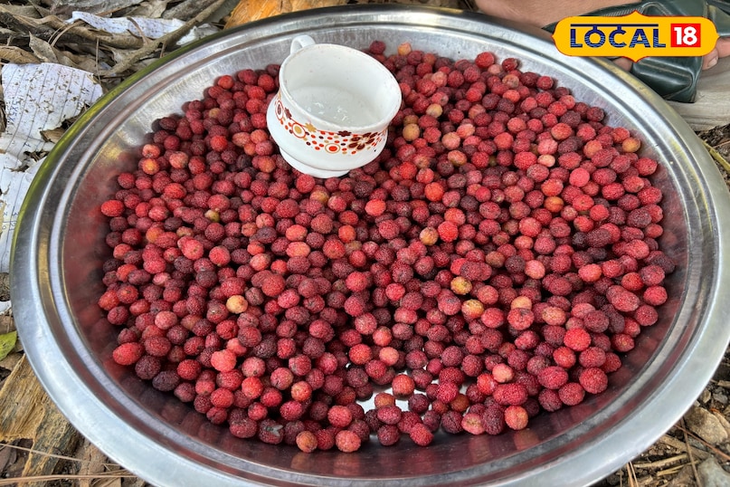 Kafal's popularity is increasing in the markets