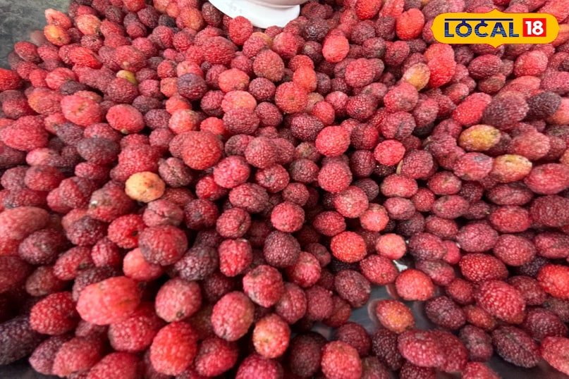 Kafal grows naturally in the forests