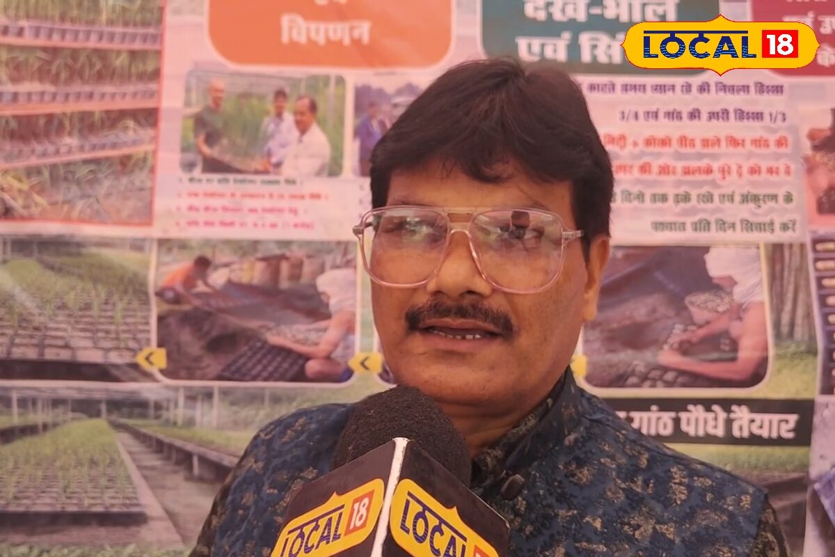 समस्तीपुर में गन्ना खेती का नया तरीका.... एकल गांठ विधि से घटेगी लागत, बढ़ेगा मुनाफा