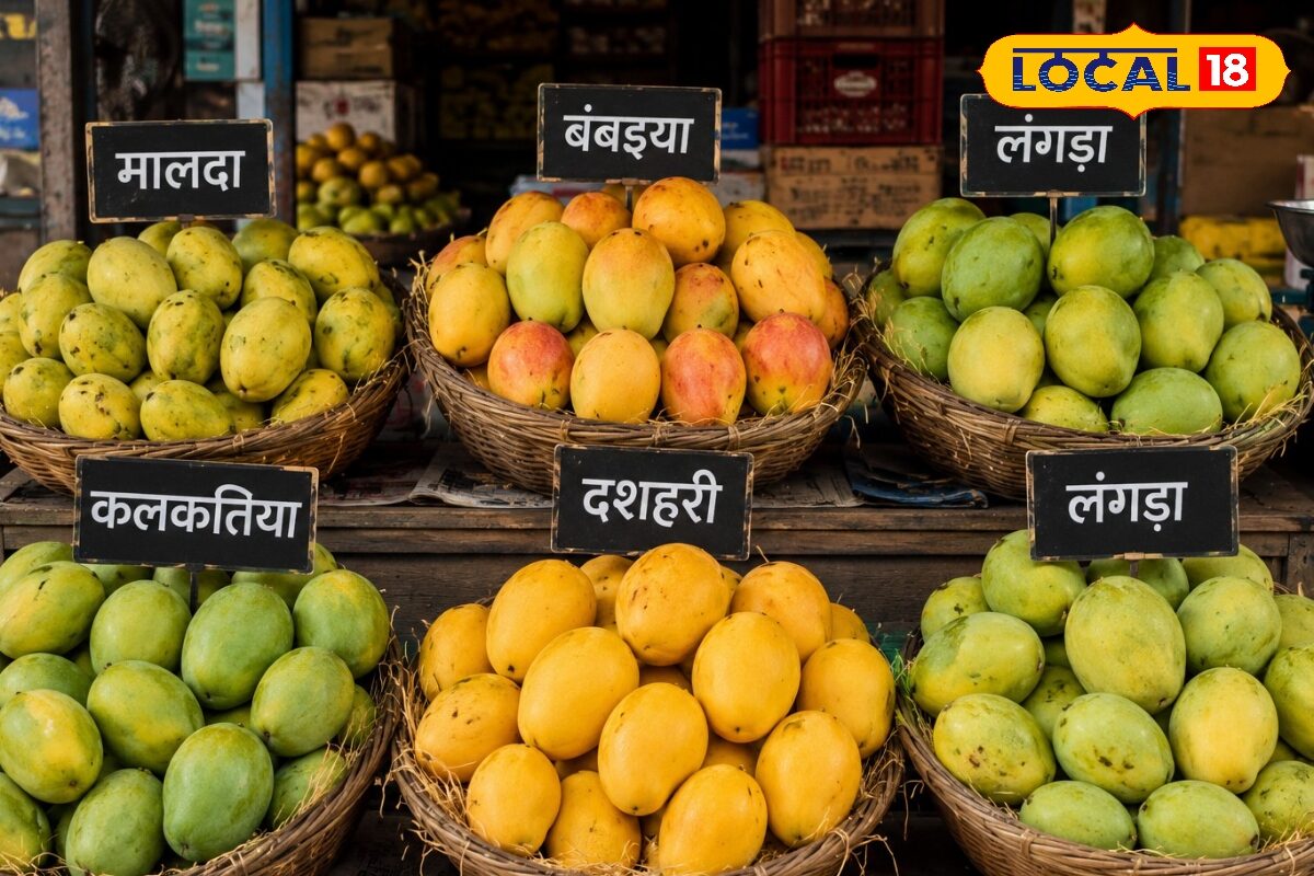 नाम विदेशी, लेकिन बिहार में सुपरहिट! इन आम किस्मों की मचती है लूट, ये है कारण