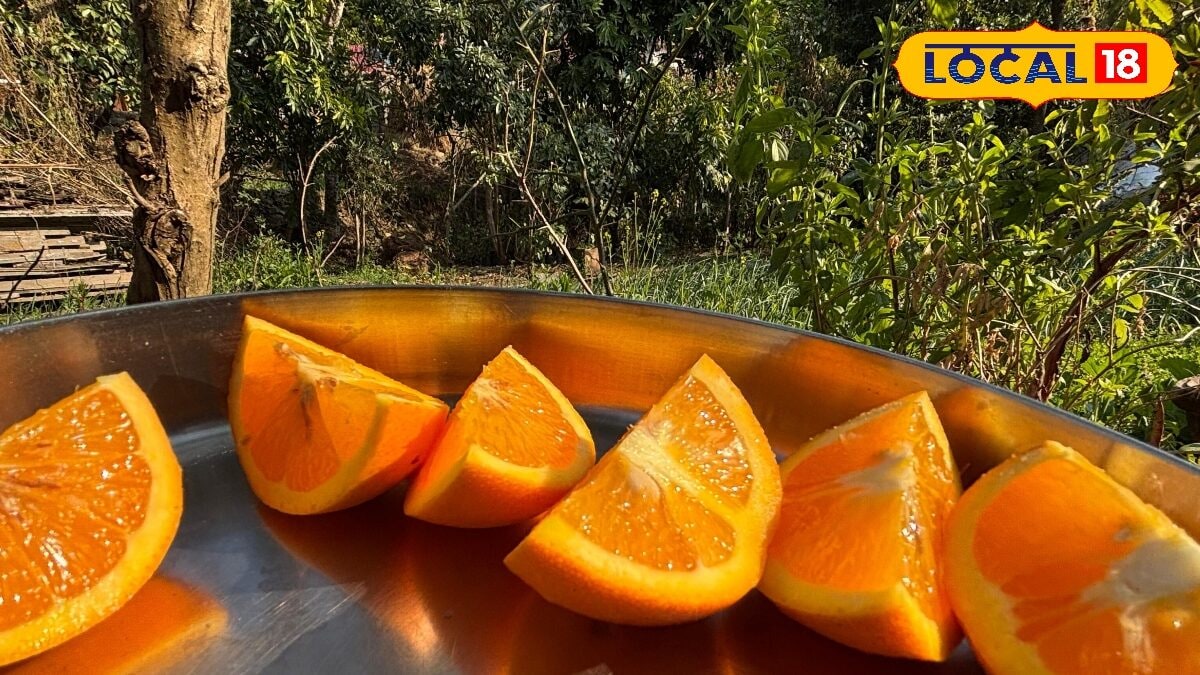 एक फल जो इम्यूनिटी से लेकर दिल तक का रखता है ख्याल, क्या आपने चखा है उत्तराखंड का ये जूस