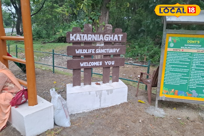लोकल में आप बहराइच मुख्यालय से लगभग 100 किलोमीटर दूर कतर्नियाघाट टूरिस्ट पैलेस का प्लान कर सकते हैं.जहां आप अपना सुबह से शाम तक का समय देकर भरपूर आनंद उठा सकते हैं जहां पर आप बोट राइडिंग,जिप्सी सफारी, घड़ियाल सेंटर,जैसी चीजों से प्राकृतिक को बड़े करीब से देख सकते हैं अगर आप पूरे परिवार से जाते हैं, तो आपका खर्चा बस 4 से ₹5000 का ही होता है. लोकल में आप बहराइच मुख्यालय से लगभग 100 किलोमीटर दूर कतर्नियाघाट टूरिस्ट पैलेस का प्लान कर सकते हैं.जहां आप अपना सुबह से शाम तक का समय देकर भरपूर आनंद उठा सकते हैं जहां पर आप बोट राइडिंग,जिप्सी सफारी, घड़ियाल सेंटर,जैसी चीजों से प्राकृतिक को बड़े करीब से देख सकते हैं अगर आप पूरे परिवार से जाते हैं, तो आपका खर्चा बस 4 से ₹5000 का ही होता है.