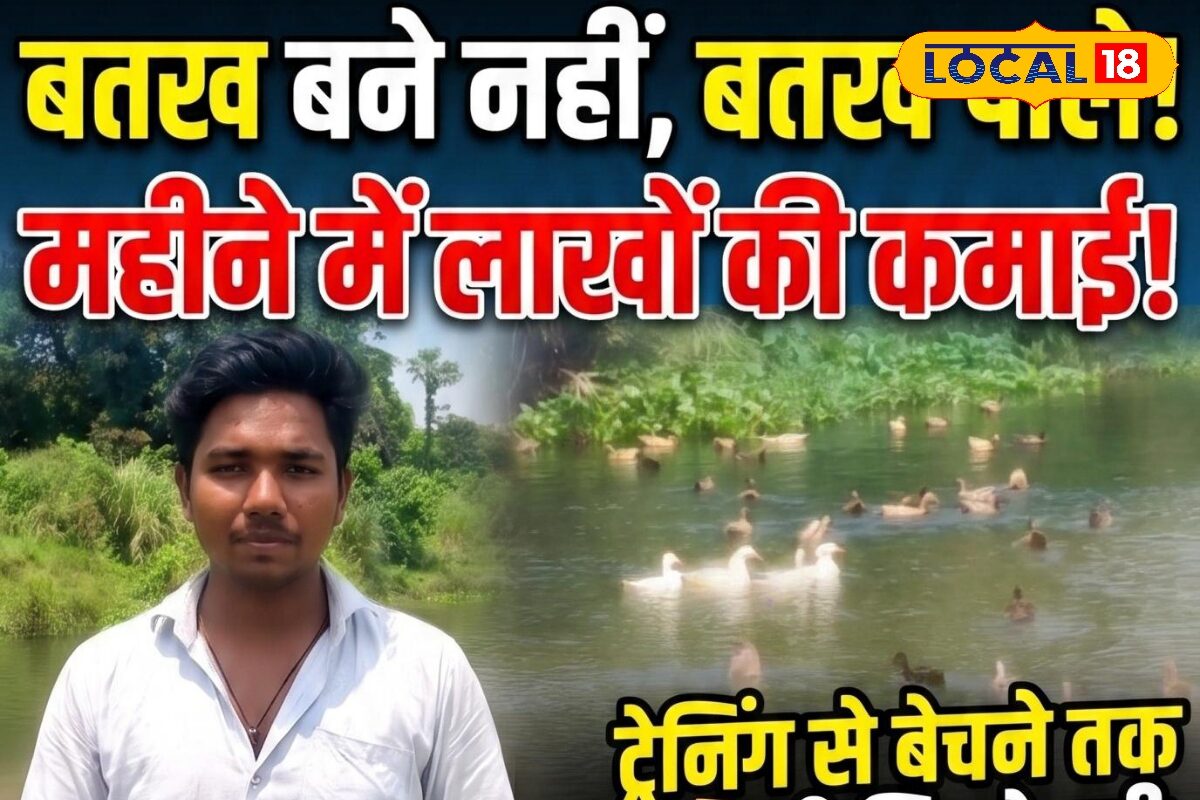 Duck Farming: बतख पालन बना कमाई का जरिया 1000 बत्तख से महीने में 1 लाख तक मुनाफा बायबैक गारंटी भी