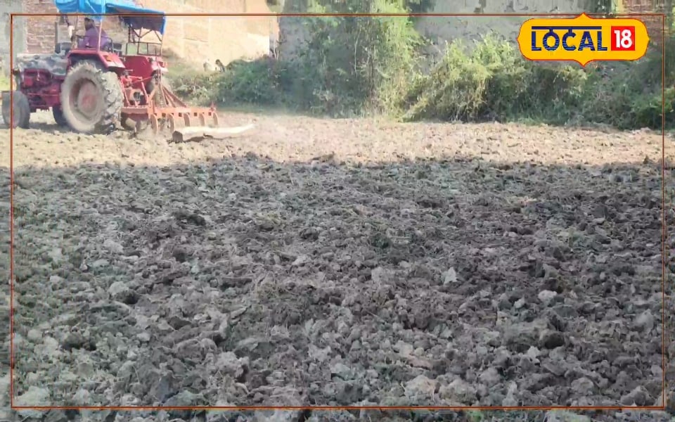 खाली खेत से तैयार करें प्राकृतिक हरी खाद, नहीं पड़ेगी यूरिया-डीएपी की जरूरत, बढ़ेगी मिट्टी की ताकत और उपज