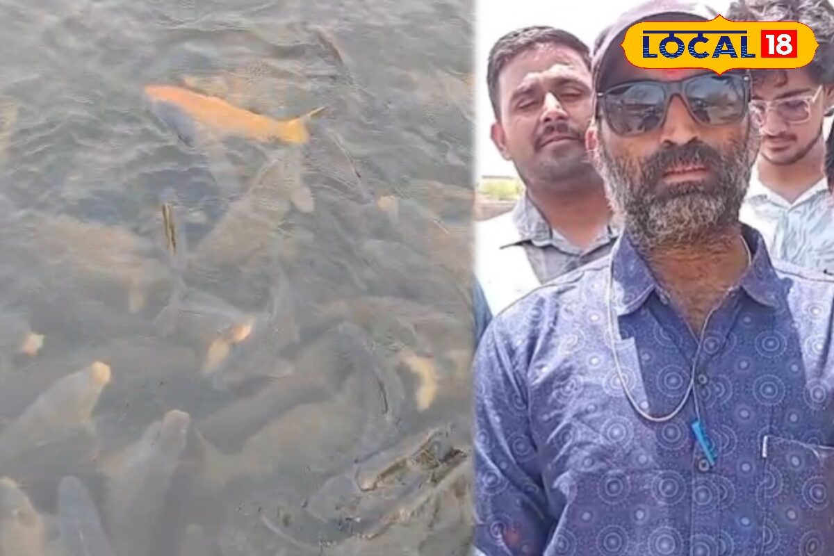 भीषण गर्मी में तड़पती मछलियों के लिए देवदूत बने सेवावीर, सूखे तालाब तक पानी पहुंचाकर बचाई जान