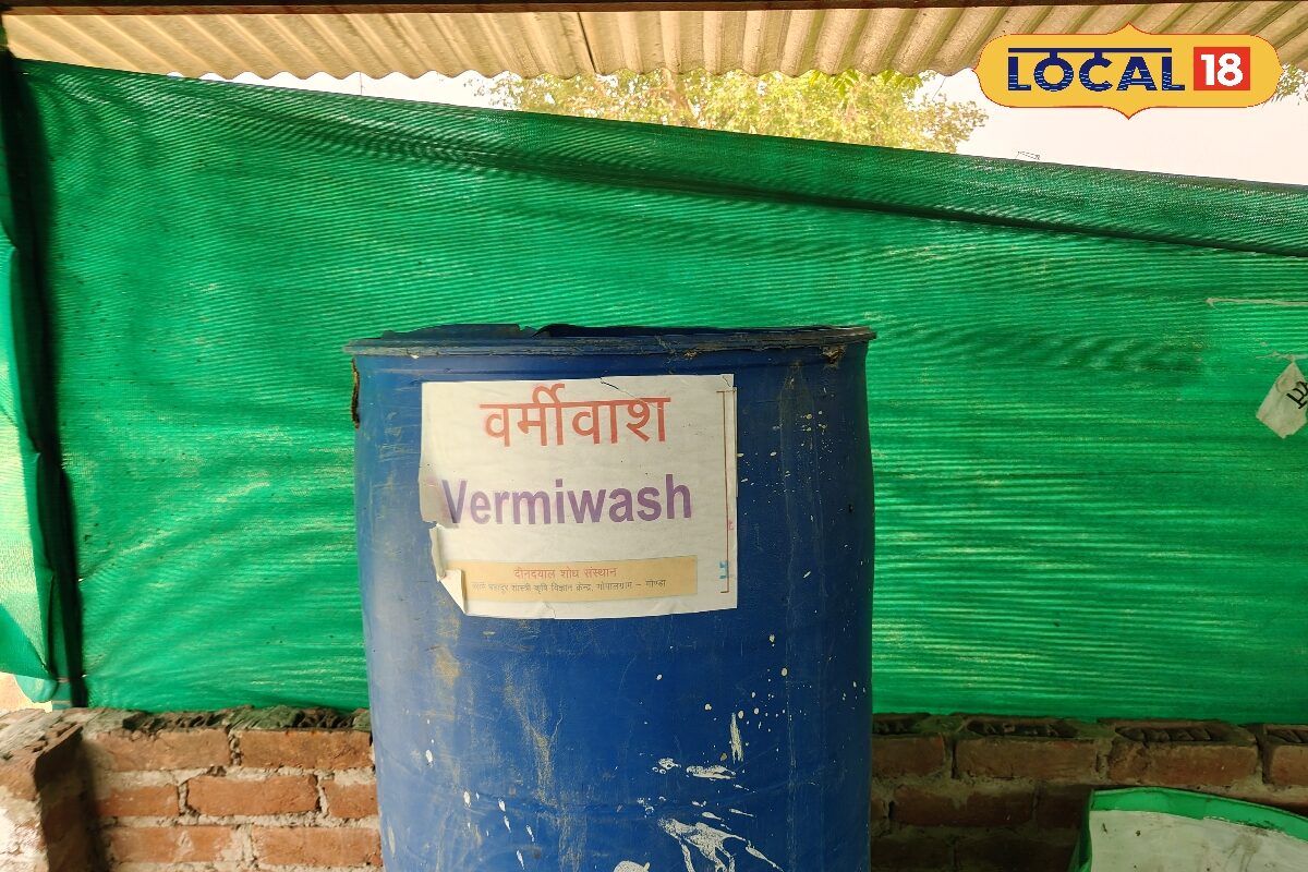 खेत की मिट्टी को बनाना है ज्यादा उपजाऊ, तो घर पर तैयार करें ये देसी जैविक खाद