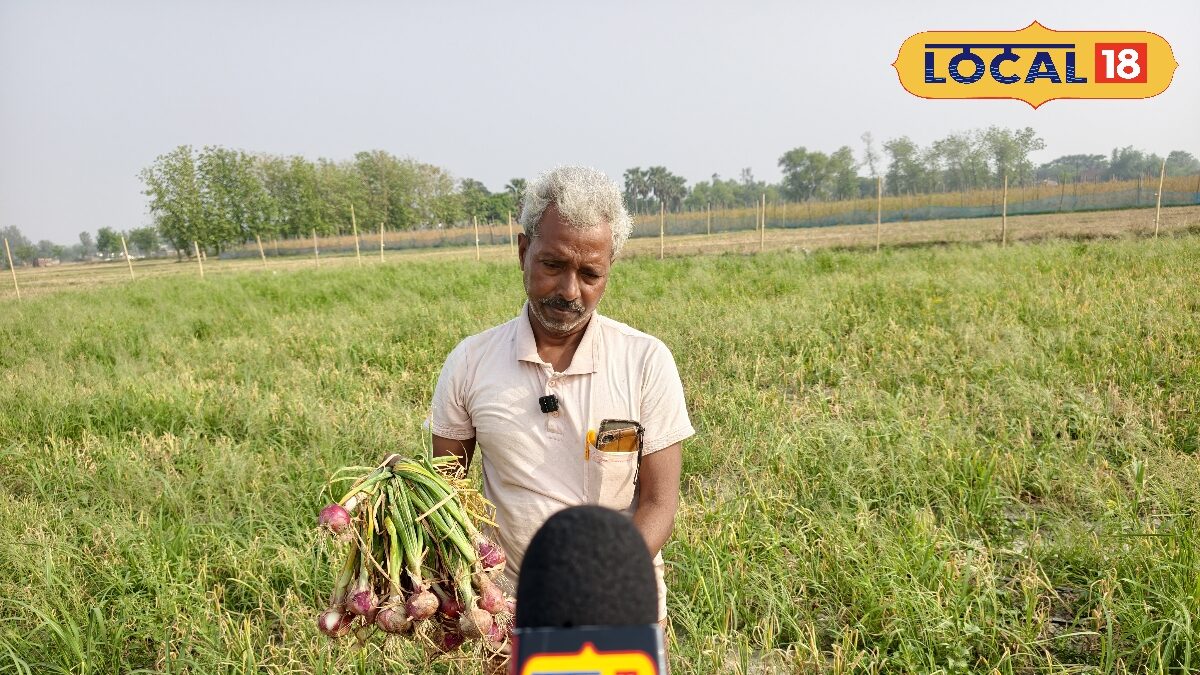 ड्रिप और बेड विधि से लेट प्याज बोकर मऊ के किसान रामलेश मौर्या ने की बंपर कमाई, गर्मी के मौसम में किया कमाल ड्रिप और बेड विधि से लेट प्याज बोकर मऊ के किसान रामलेश मौर्या ने की बंपर कमाई, गर्मी के मौसम में किया कमाल