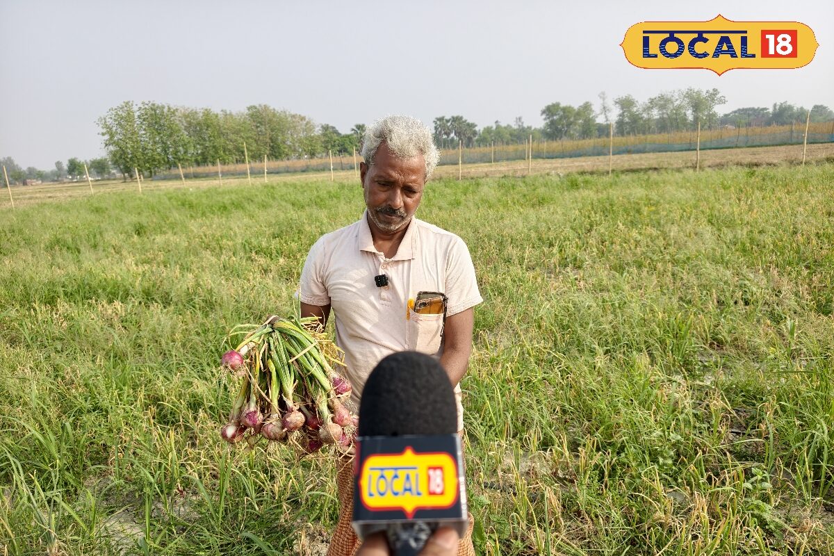ड्रिप और बेड विधि से लेट प्याज बोकर मऊ के किसान रामलेश मौर्या ने की बंपर कमाई, गर्मी के मौसम में किया कमाल