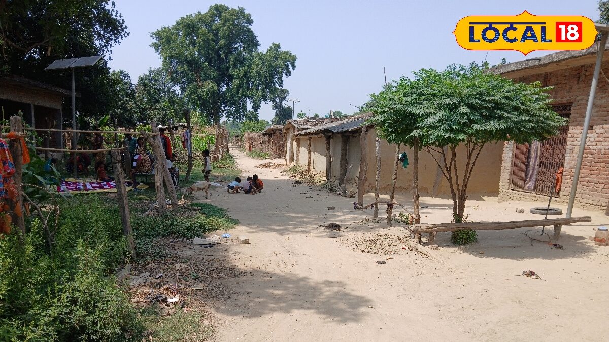 महराजगंज के वनटांगिया कंपार्ट 24 गांव में सड़क, बिजली, स्वास्थ्य जैसी बुनियादी सुविधाओं का अभाव, बरसात में बन जाता है टीला महराजगंज के वनटांगिया कंपार्ट 24 गांव में सड़क, बिजली, स्वास्थ्य जैसी बुनियादी सुविधाओं का अभाव, बरसात में बन जाता है टीला