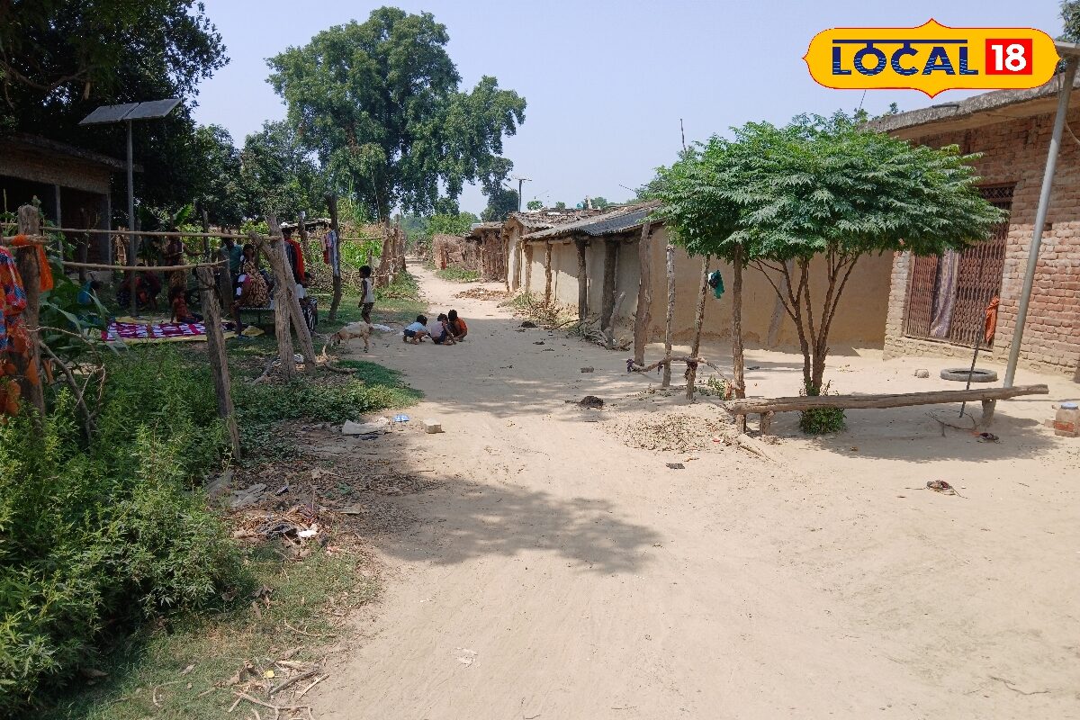 महराजगंज के वनटांगिया कंपार्ट 24 गांव में सड़क, बिजली, स्वास्थ्य जैसी बुनियादी सुविधाओं का अभाव, बरसात में बन जाता है टीला