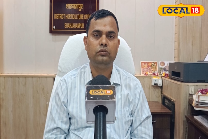 जिला उद्यान अधिकारी डॉ पुनीत कुमार पाठक ने बताया कि तोरई की तुड़ाई के लिए समय का चयन सबसे महत्वपूर्ण कदम है. दोपहर के समय तापमान अत्यधिक होता है, जिससे पौधों में पानी का वाष्पीकरण बढ़ जाता है. अगर इस समय तुड़ाई की जाएगी तो तोरई तुरंत मुरझा जाएगी. किसानों को चाहिए कि हमेशा सुबह सूर्योदय से पहले या फिर शाम को सूर्यास्त के समय ही फसलों की तुड़ाई करें. इस ठंडे समय में सब्जियां पूरी तरह ताजा और रसीली बनी रहती हैं.