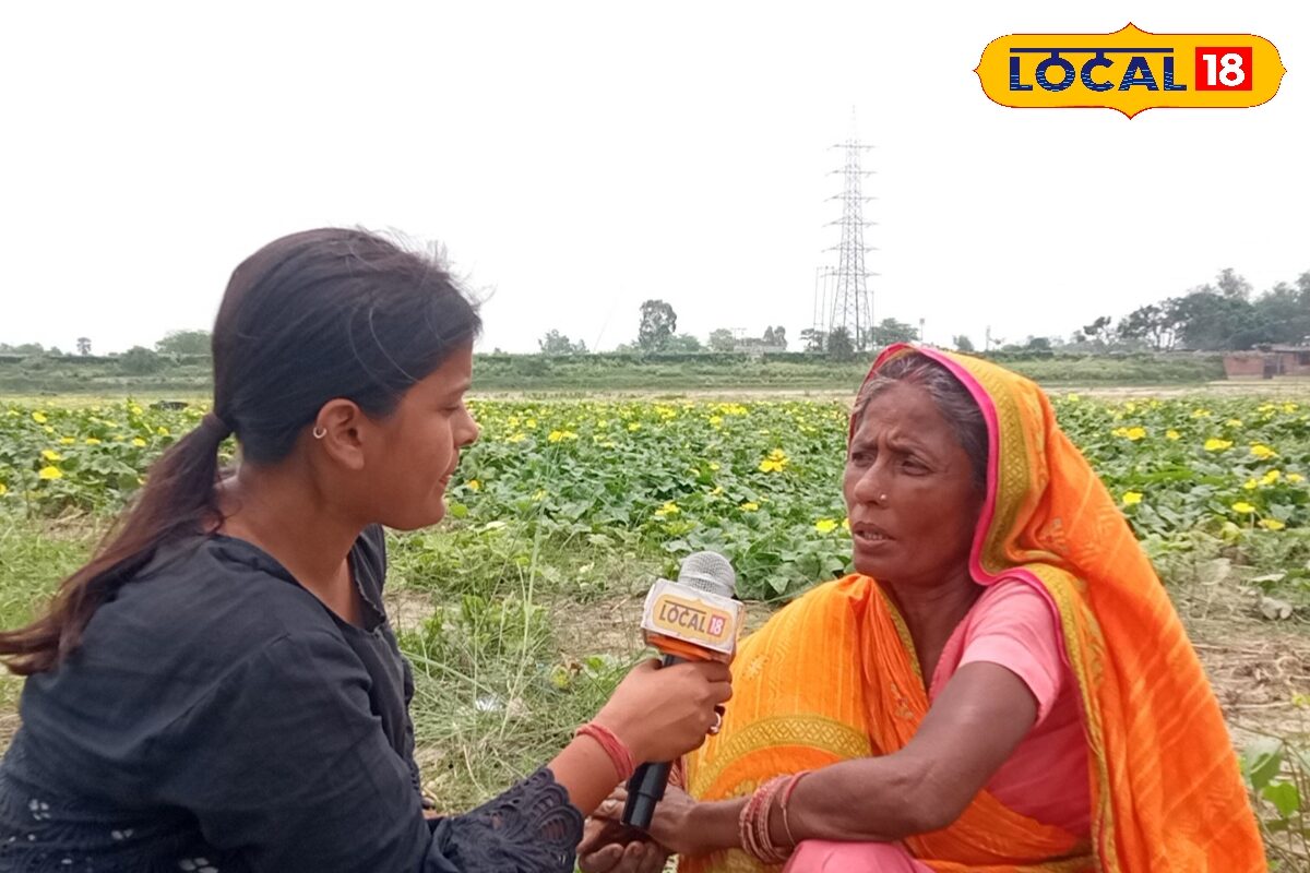 Madhubani: न कागज, न रजिस्ट्री...दशकों से मौखिक समझौते पर हो रही मुनाफे वाली खेती, बिहार में अनोखा कमला मॉडल