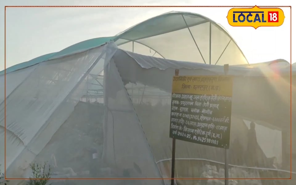 17 लाख की सब्सिडी से किसान बना मालामाल! 34 लाख के शेडनेट हाउस से हर सीजन में लाखों की कमाई